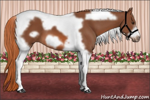 Horse Color: Liver Chestnut Tobiano Frame 