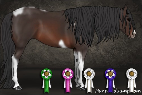 Horse Color: Brown Tobiano Frame 