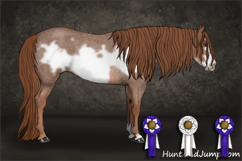 Horse Color: Liver Red Roan Frame Rabicano 