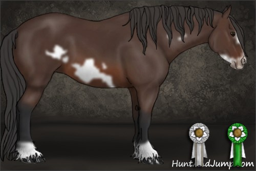 Horse Color: Brown Frame 