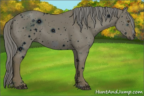 Horse Color: ERROR: UNKNOWN ANOMALY