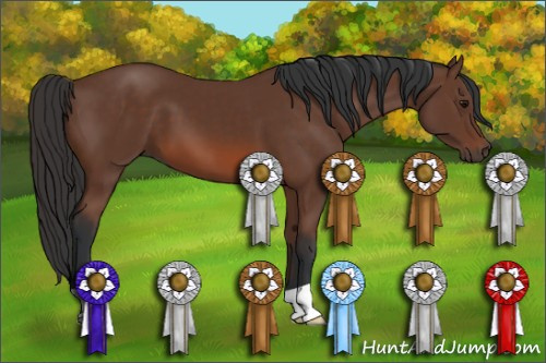 Horse Color: Bay 
