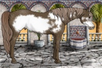 Horse Color:Chocolate Palomino Frame