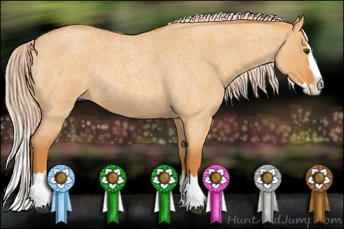 Horse Color: Chocolate Palomino Roan Dun Splash Rabicano 