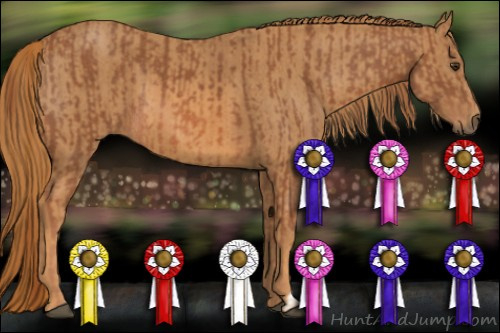 Horse Color: Liver Chestnut Rabicano  Brindle