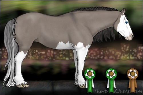 Horse Color: Smoky Grullo Roan Splash 