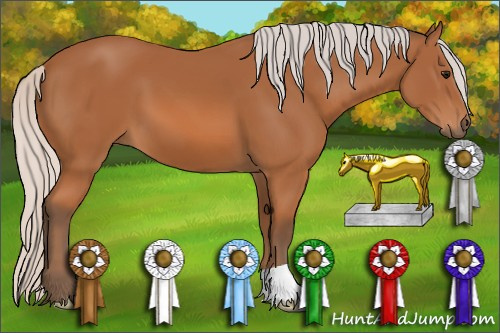 Horse Color: Silver Bay 