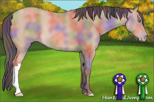 Horse Color: Nacre Amber Champagne 