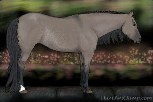 Horse Color: Brown Dun Rabicano 