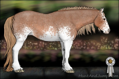 Horse Color: White Spotted Red Roan 