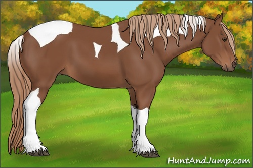 Horse Color: Chestnut Tobiano 