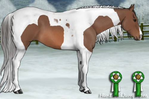 Horse Color: Bay Roan Tobiano 