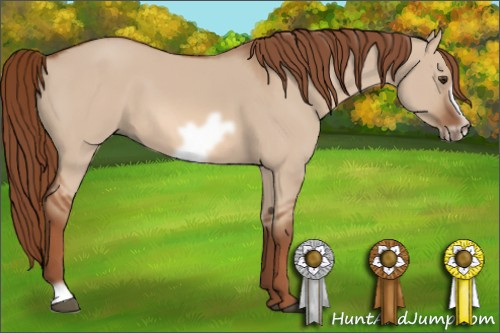 Horse Color: Liver Red Dun Frame 