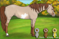 Horse Color:Liver Red Dun Frame 
