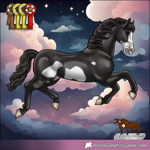 Horse Color: Liver Chestnut Frame 