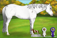 Horse Color:Grullo Sabino Rabicano 