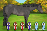 Horse Color:Black Rabicano 
