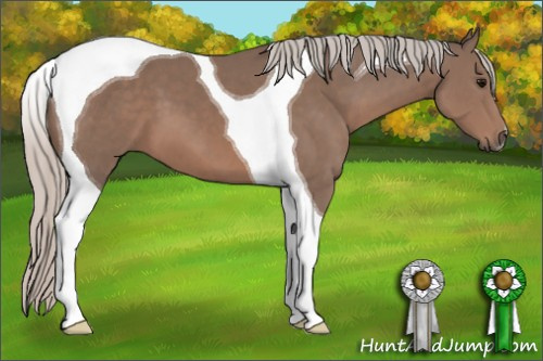 Horse Color: Silver Black Tobiano 