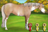 Horse Color:Silver Black Pearl Sabino