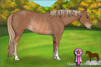 Horse Color:Chestnut Rabicano 
