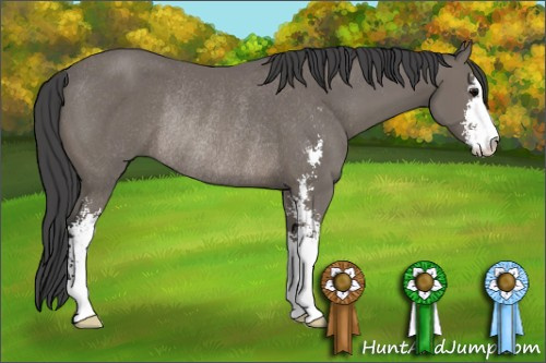 Horse Color: Black Sabino Rabicano 