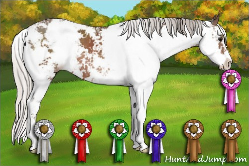 Horse Color: Silver Black Sabino 