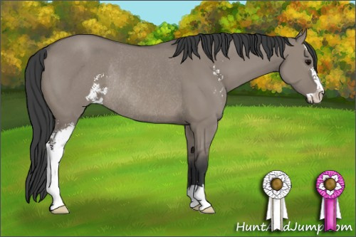 Horse Color: Grullo Sabino Rabicano 