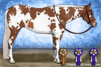 Horse Color:White Spotted Silver Bay 