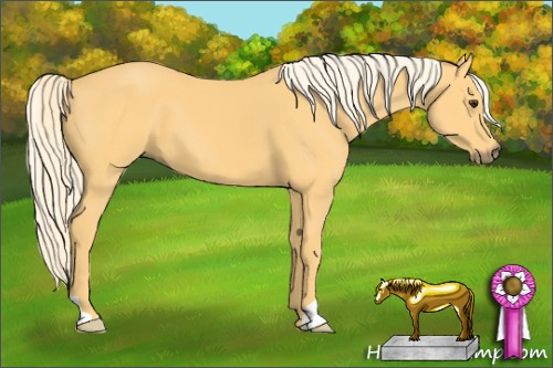 Horse Color: Palomino 