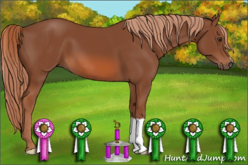 Horse Color: Liver Chestnut 