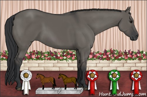 Horse Color: Brown Dun 