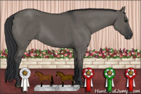 Horse Color:Brown Dun 