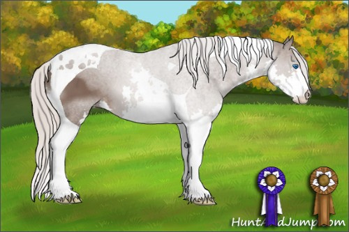Horse Color: Silver Brown Splash Tobiano 