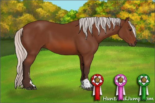 Horse Color: Silver Bay Sabino 