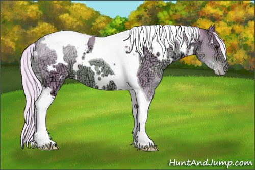 Horse Color: Watercolor White Spotted Silver Brown Ice Pearl Tobiano 