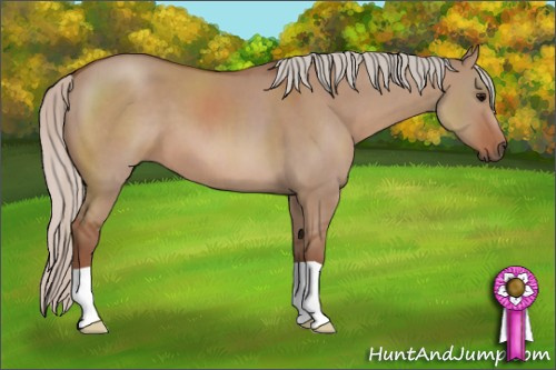 Horse Color: Silver Grullo 