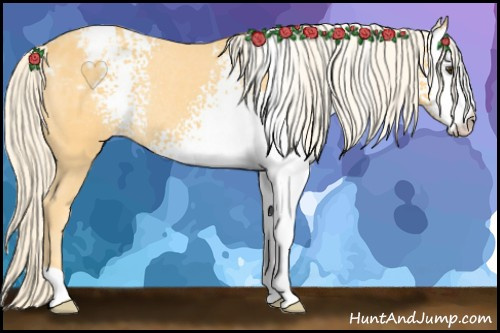 Horse Color: White Spotted Palomino Blanket Rabicano 