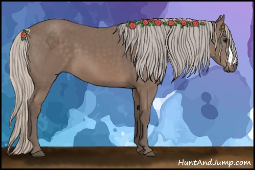 Horse Color: Silver Black 