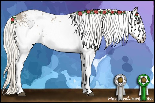 Horse Color: White Spotted Silver Smoky Grullo Blanket Rabicano 