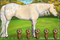 Horse Color:White Spotted Palomino Ice Blanket 