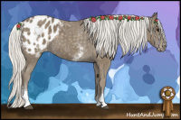Horse Color:White Spotted Silver Smoky Black Appaloosa