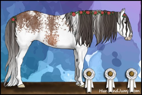 Horse Color: White Spotted Bay Splash Blanket Rabicano 