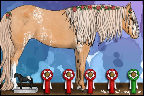 Horse Color: White Spotted Palomino Blanket 