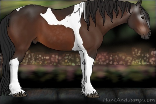 Horse Color:Gray Bay Tobiano