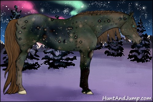 Horse Color: ERROR: UNKNOWN ANOMALY