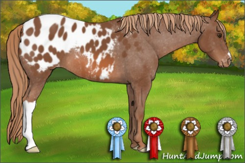 Horse Color: Liver Chestnut Blanket 
