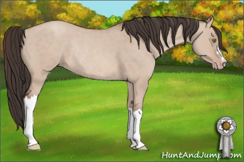 Horse Color: Sable Champagne Dun Rabicano 
