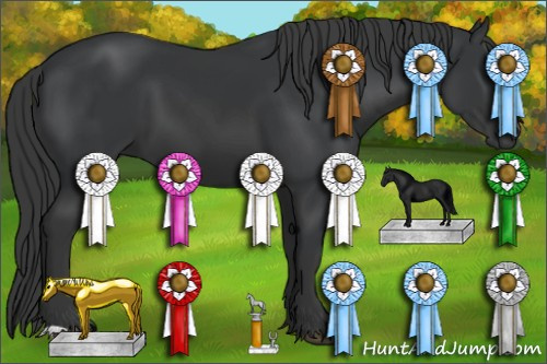 Horse Color: Black 