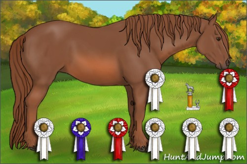Horse Color: Unknown 