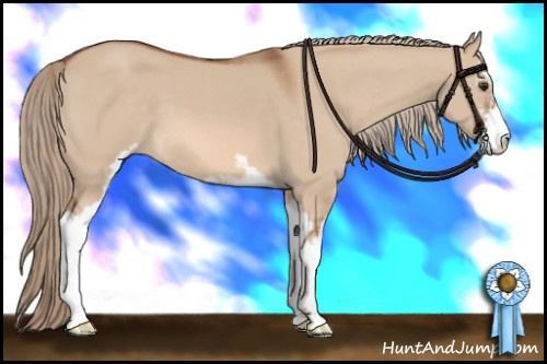 Horse Color: Liver Red Dun Sabino 